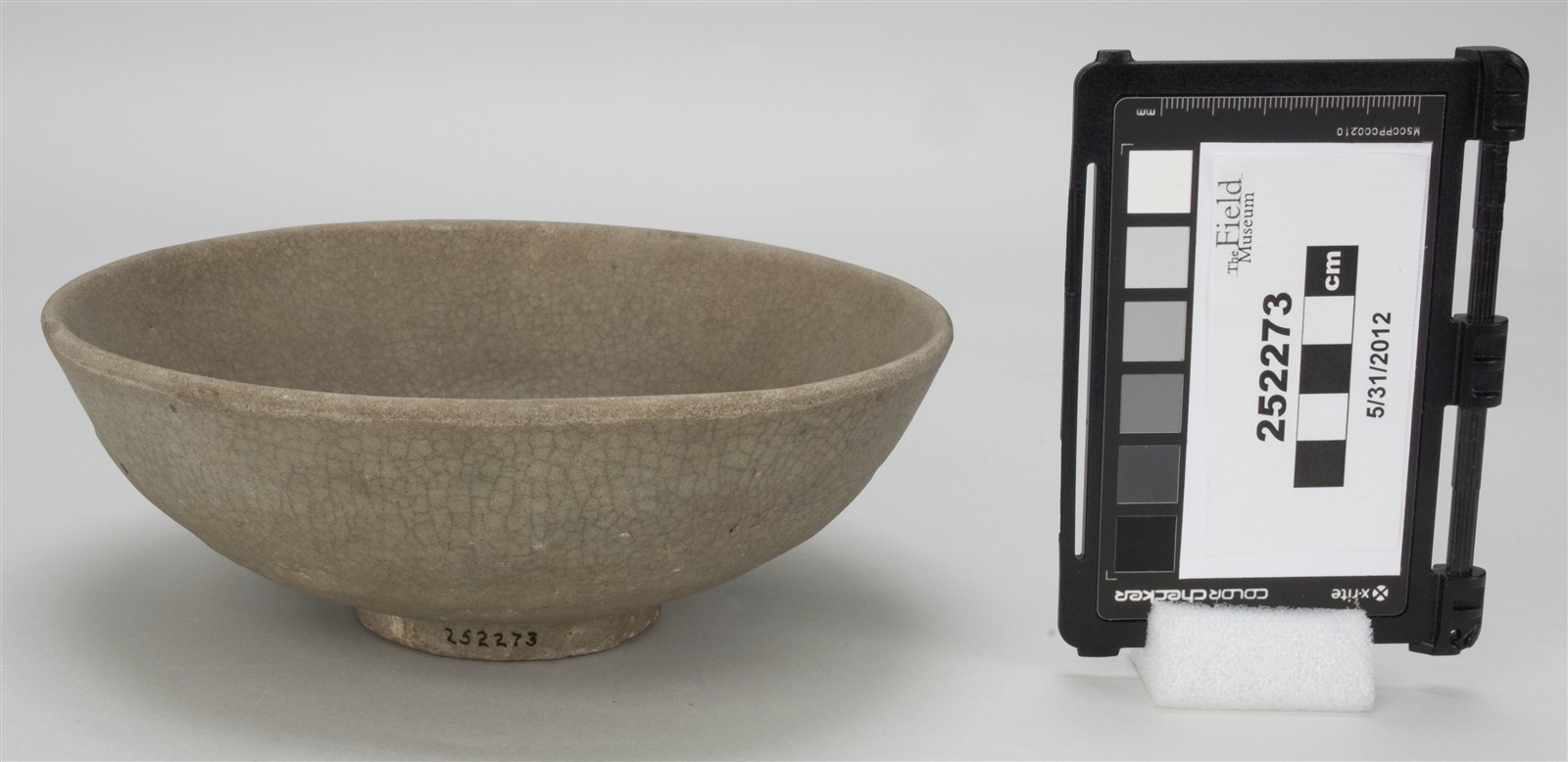 side (c) Field Museum of Natural History - CC BY-NC 4.0